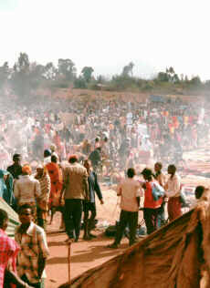 market.jpg (12239 bytes)